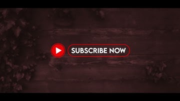 Simple YouTube Elements And Subscribe Button Pack for After Effects 2022