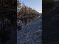 Последний снег.Рыбалка на поплавок.В поисках уклейки. #fishing #shortvideo #рыбалка