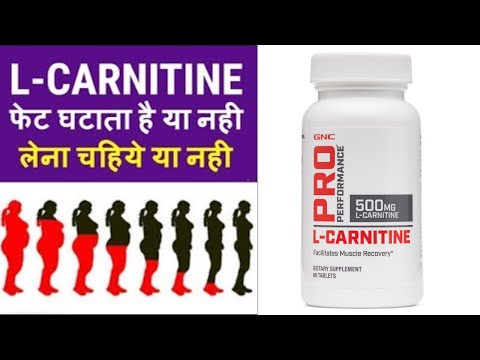 l carnitine uses weight loss in hindi Benefits of taking L-Carnitine and correct dosage Carnitine Benefits For Fat Loss