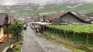 Heavy Rain in the Highest Village in Central Java | Walk through Beautiful and Very Cool village