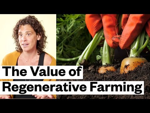 Why Is Regenerative Farming So Important? (MegaFood) | Thrive Market