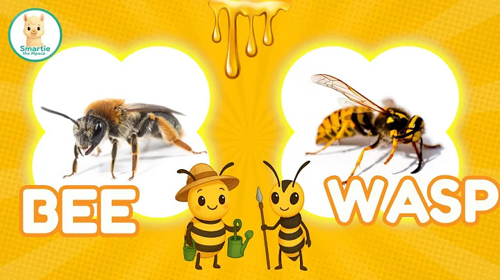 Bee vs. Wasp – What’s the Difference?🪰🐝 Educational Video for Kids