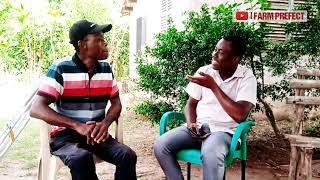 How to Start a Profitable Turkey Farm in Ghana | Success Secrets. Turkey Farming Update First Eggs Natural Brooding How To Do Full Organic Turkey Farming