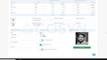 Tutorial Video 4  timeFrank