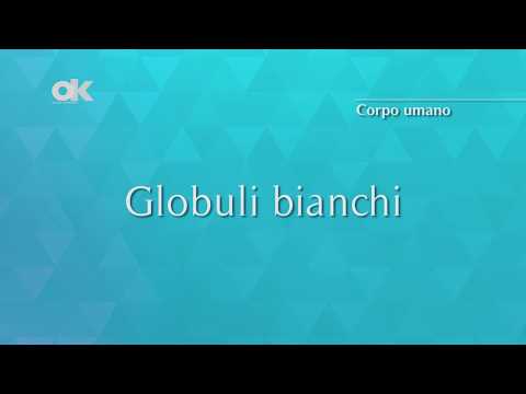 Video: Conteggio Dei Globuli Bianchi (globuli Bianchi): Scopo, Procedura E Risultati