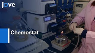 Chemostat for Adaptive Laboratory Evolution of Microorganisms | Protocol Preview