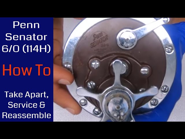 Penn Senator 6/0 (114H) Fishing Reel - How to take apart, service and  reassemble 