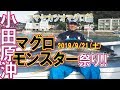 【コマセマグロ】相模湾・小田原沖モンスター祭り!!(2019/09/21)五エム丸