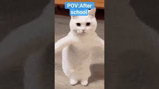 POV: Me After School
