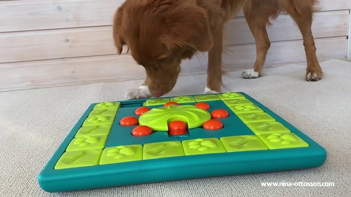 Interactive Mental Stimulation Dog Toys– Puzzles for Pups