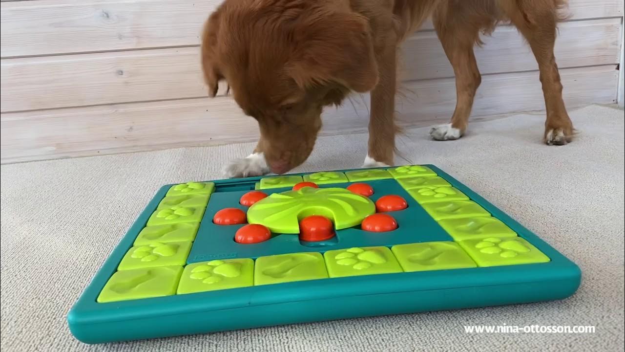 Nina Ottosson MultiPuzzle Interactive Treat Puzzle Dog Game