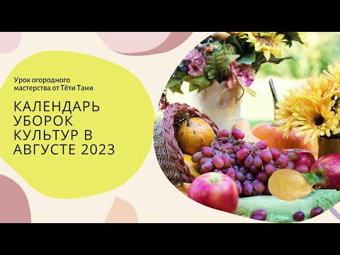 928. Календарь уборок культур в августе 2023 г.