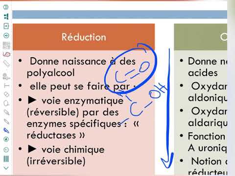 Structure des glucides 3: Propriétés physiques et chimiques des oses