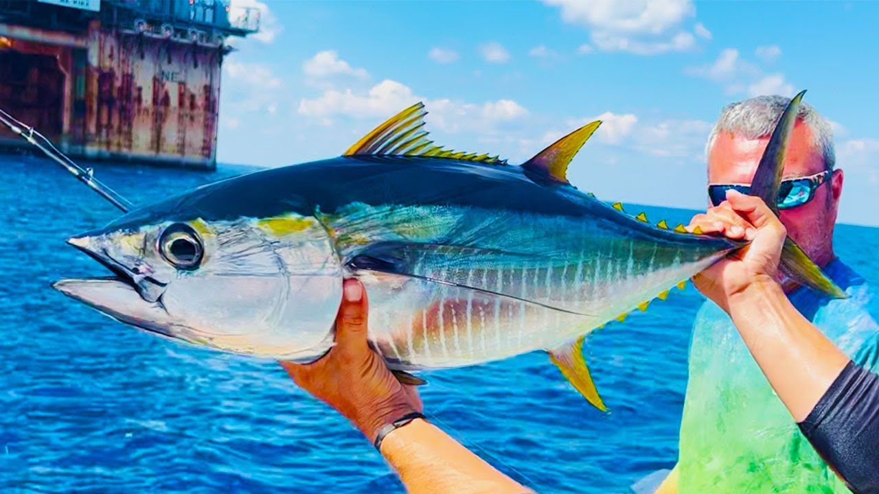 blue fin tuna fishing hook two fish L.T. Marine Commercial Swim L.T. Marine Products The stainless steel hook can be rigged directly in the wire underneath your lure We Fought this Fish for