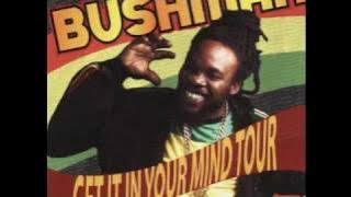 Bushman - Creatures Of the night