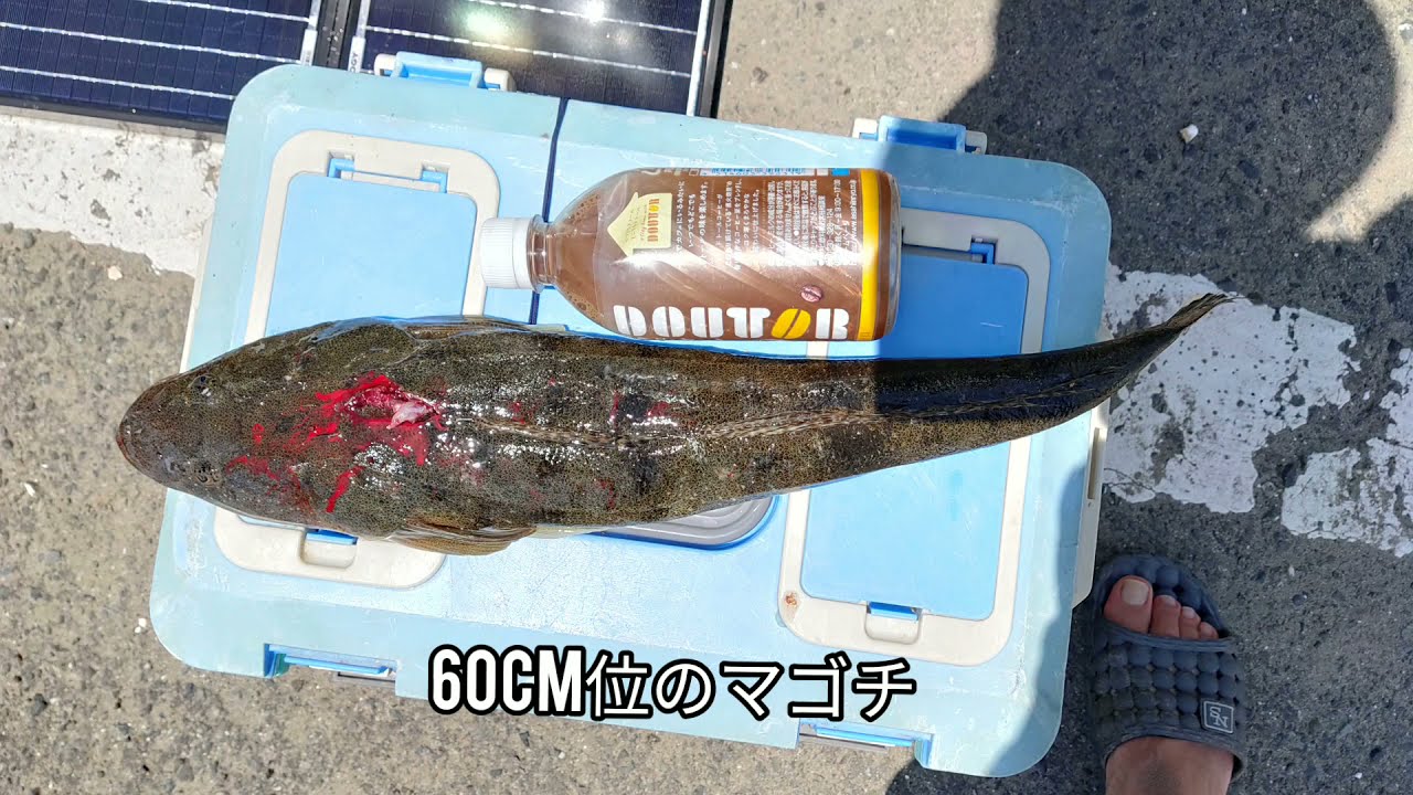 内房総 岩井海岸 2馬力ボート キス釣りリベンジのはずが Youtube