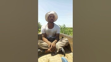 سوره الفاتحه بصوت الشيخ احمد فراج