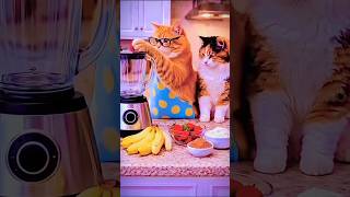 A cat juice making 2 😂 my house for brother 🥰#shorts