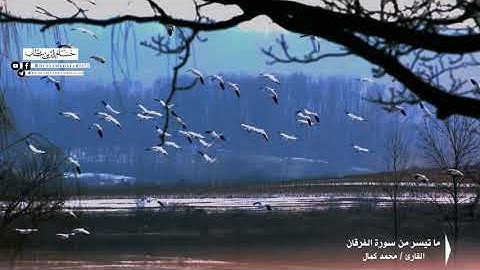 مَا تيسرَ مِن سورةِ الفرقان القارئ / محمد كمال