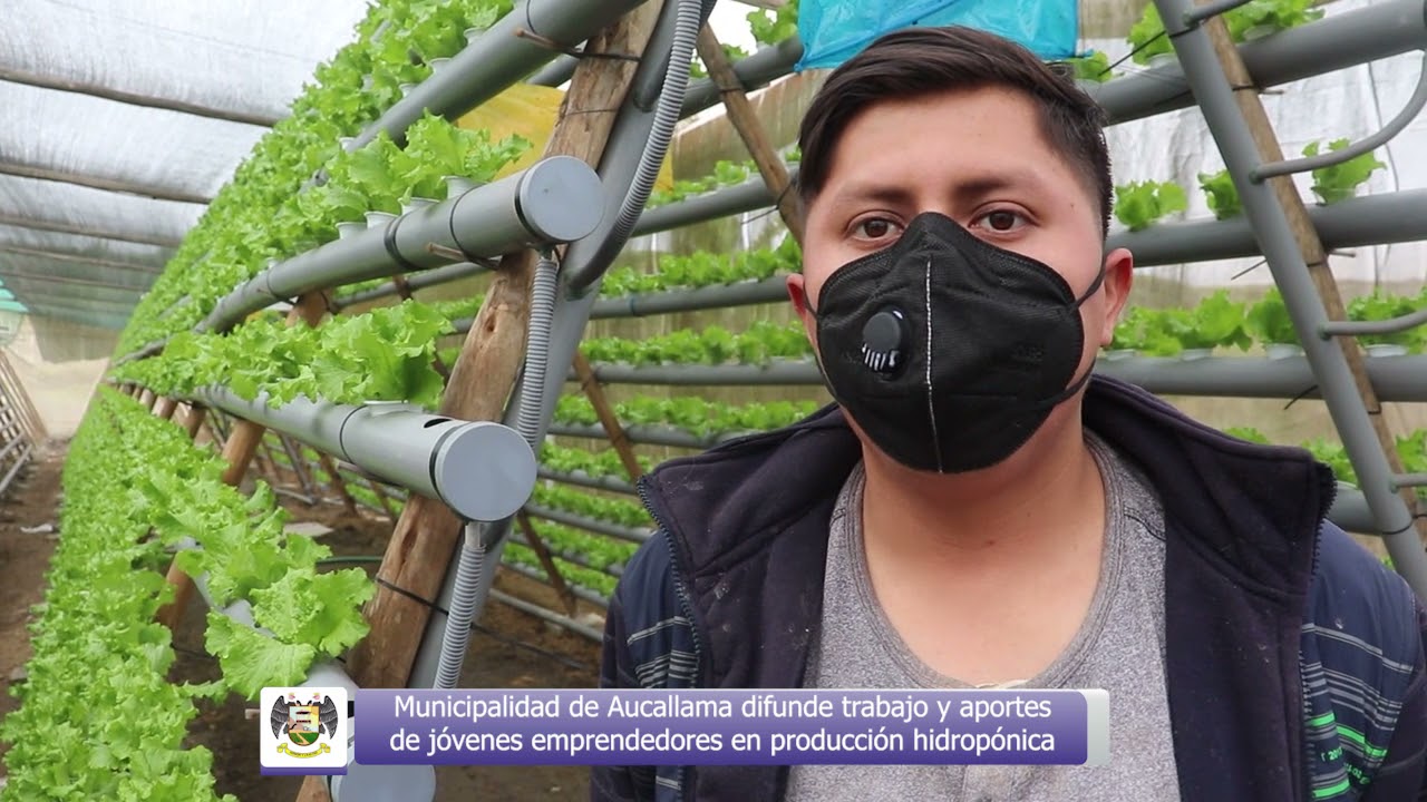 Jóvenes desarrollan proyecto de producción hidropónica con estructura de cultivo piramidal.