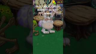 getting blabbit on water island