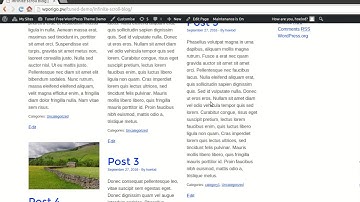Infinite Scroll WordPress blog with Tuned Theme