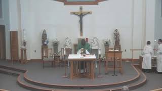 SJN Merrimack NH -- Sunday, July 5, 2026: The 14th Sunday in Ordinary Time: 10:00 AM