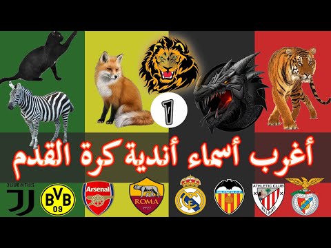 فيديو: كيفية تسمية فريق رياضي