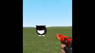 Garry's Mod - Cat