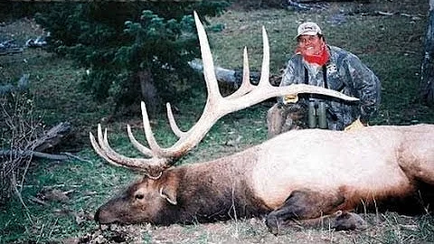 Monster 390" Bull Elk Hunt in Utah - MossBack