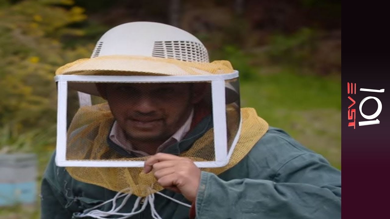 🐝 أخبار نيوي | 101 شرق