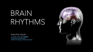 Brain Rhythms: Functional Brain Networks Mediated by Oscillatory Neural Coupling