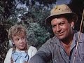 That's Pollyanna