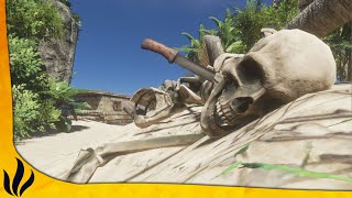 STRANDED DEEP COOP FR 11 : Un avion et des squelettes 