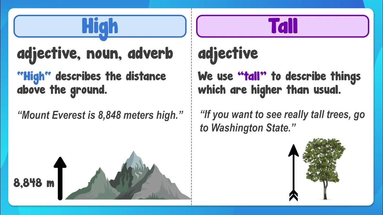 The Difference Between "Tall" and "High" English Vocabulary