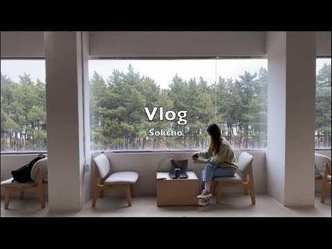 마카오 박 2022 Update 속초여행 | 롯데리조트속초 | 스테이오롯이| 마카오박| 문우당서림| 월간속초| R.9Pub루프탑바| 카페보사노바|아바이마을|속초중앙시장