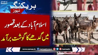 Donkey Meat Seized In Bulk From Kasur Breaking News Samaa Tv