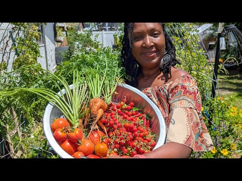 Harvest Day, Senegal, West Africa mission trip,  seeds from Hope Seeds Intl