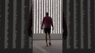 Ryoji Ikeda Data Verse Exhibit Blew My Mind. Go See It