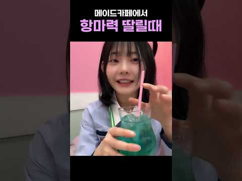 메이드 카페에서 항마력 딸릴때 ㅋㅋㅋ