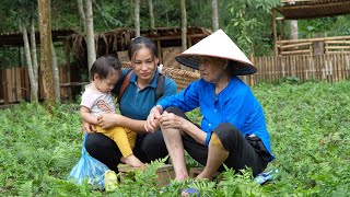 Harvesting Fish Ponds Goes To The Market Sell - Cooking With The Old Lady | Lý Phúc An