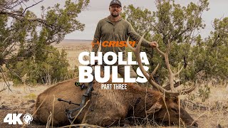 Crispi Presents: Cholla Bulls  New Mexico Archery Elk Hunt Part 3 #elkhunting