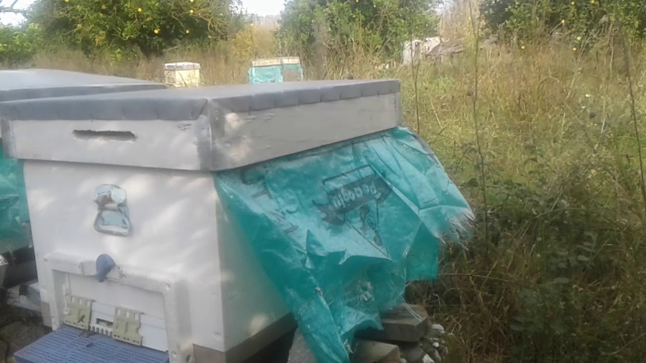 İki analı kovanla verim artırmak. .lütfen beğenip paylaşalım. .