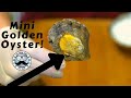 Mini Golden Oyster! (Reveals 10706 - 10722)