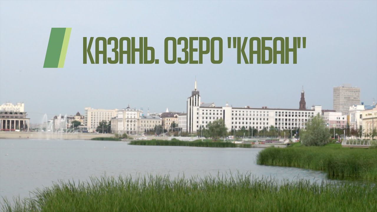Показываем красивое: на Кабане открыли птичий маршрут. Вот кого здесь можно встр