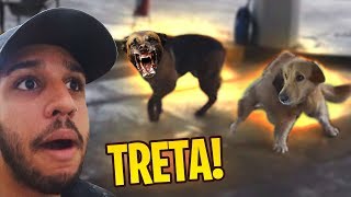 MEU CACHORRO ARRUMOU TRETA NA RUA!