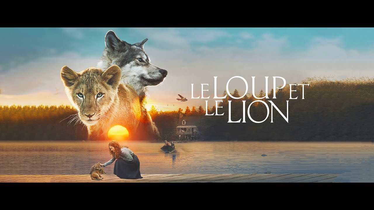 Le Loup Et Le Lion Sortie Dvd