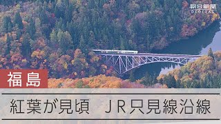 JR只見線の紅葉が見頃　赤や黄色に色づく山