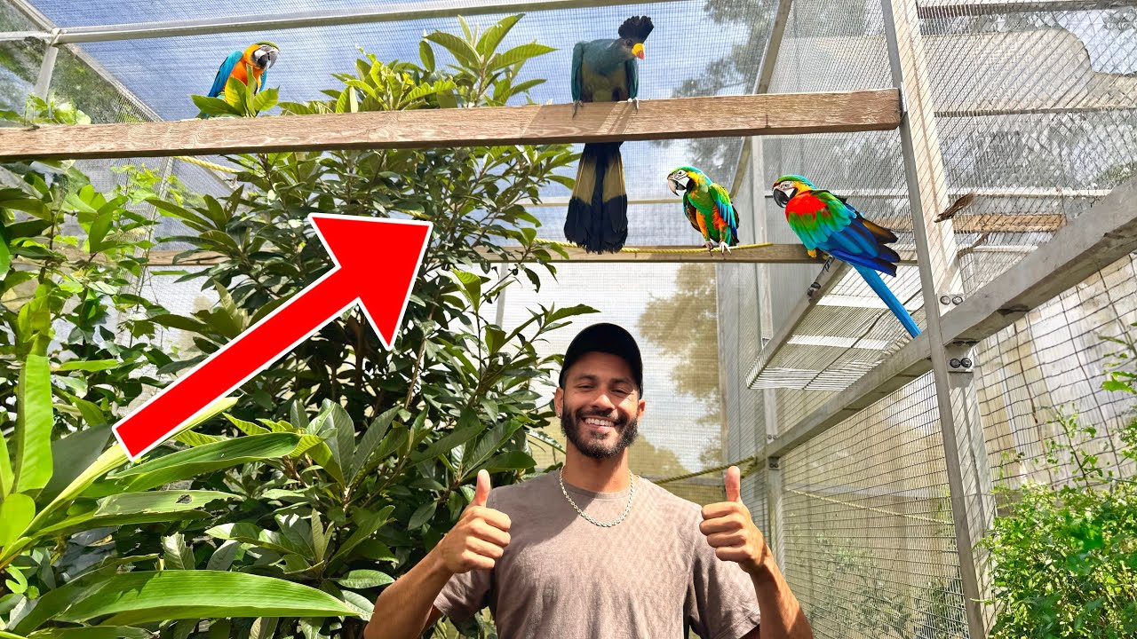 We Visited The RAREST BIRD Collection In FLORIDA!! - YouTube