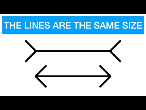 Psychology of the Muller-Lyer Illusion